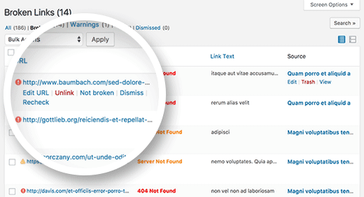 How to Fix the Most Common Technical SEO Issues On WordPress 4 blc links 1