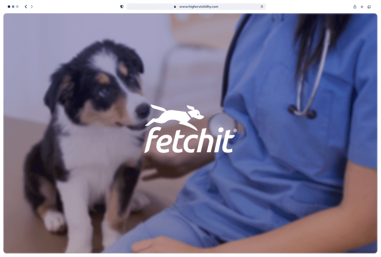 Website Design Portfolio